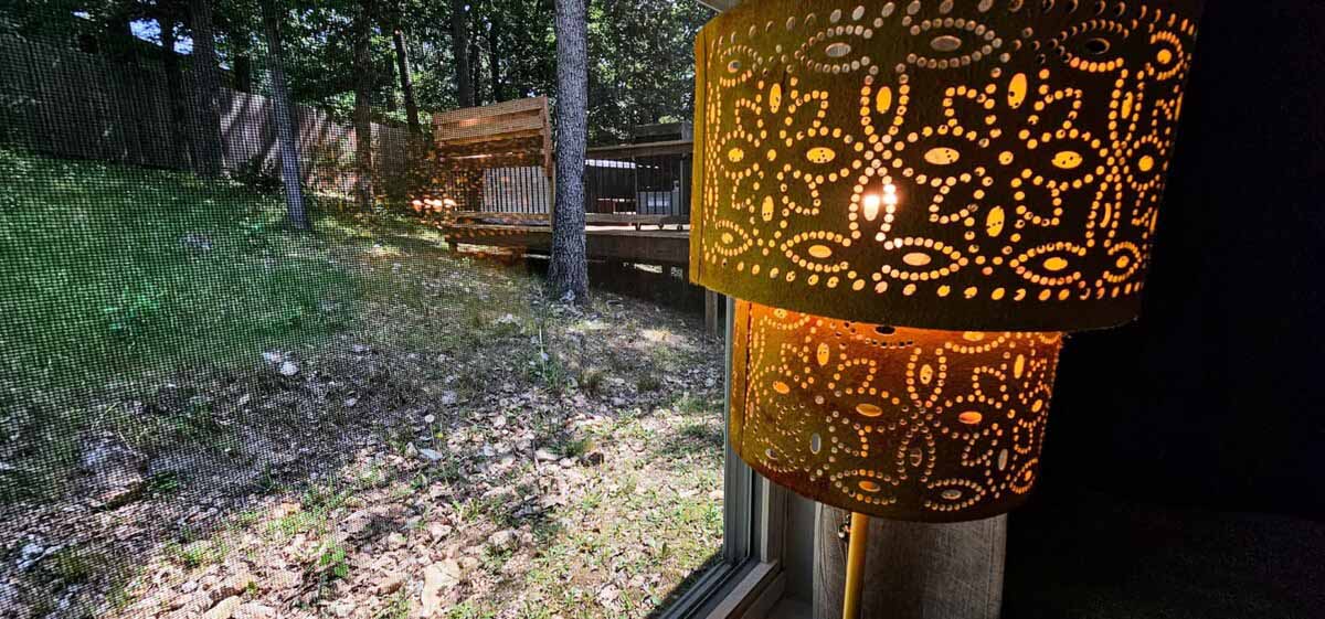 original_929139579875321949_1691102547