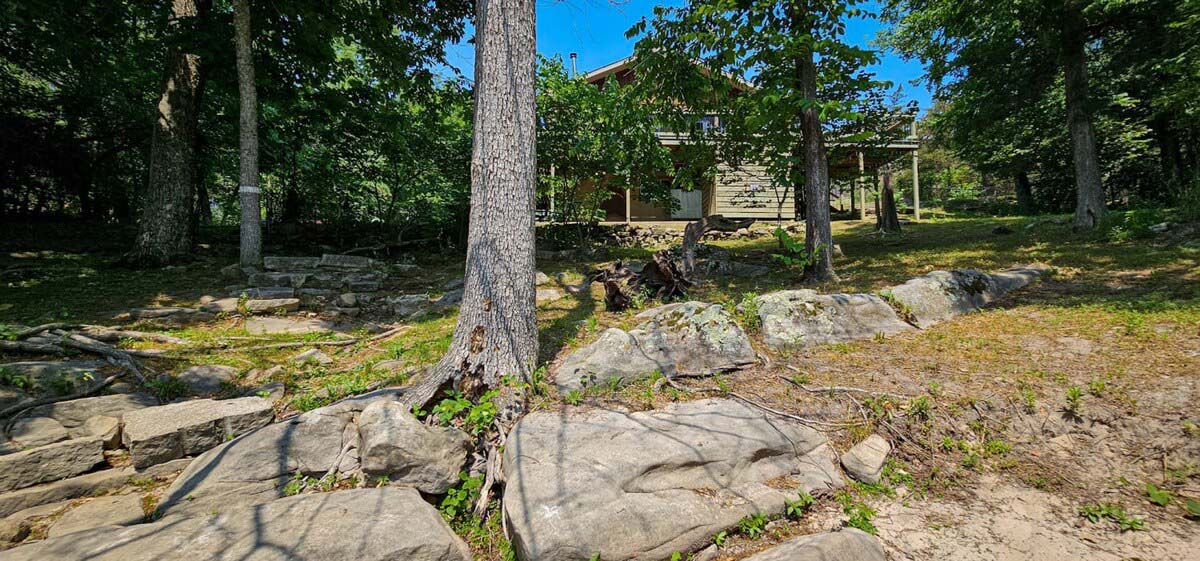 original_949336794124169344_1711426438