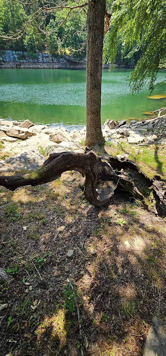 original_949336794124169344_1711426826