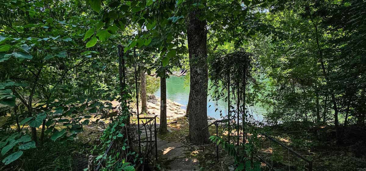 original_949336794124169344_1711427139