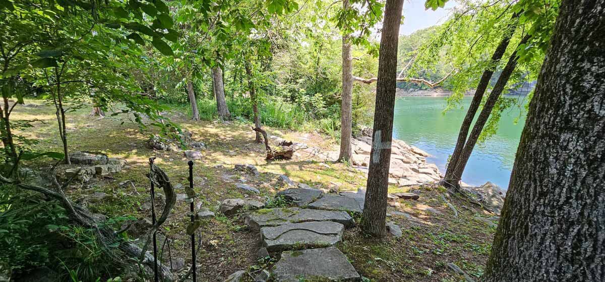 original_949336794124169344_1711427156