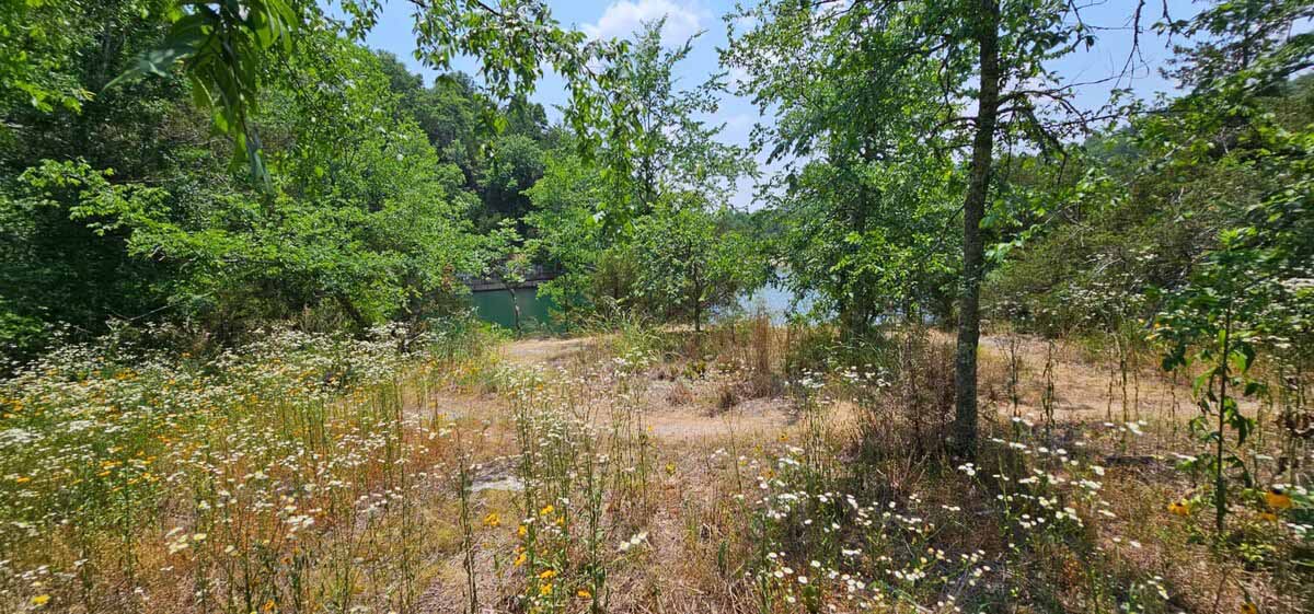 original_953385668888436202_1715099581